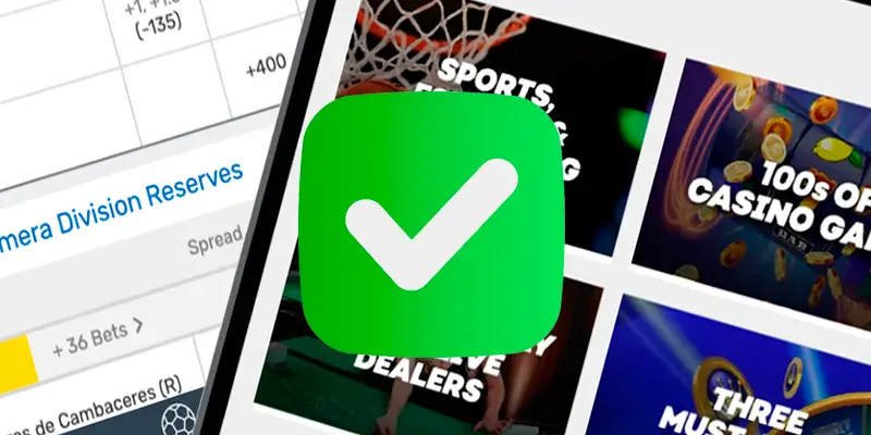 Verified sportsbook dealers and casino interface